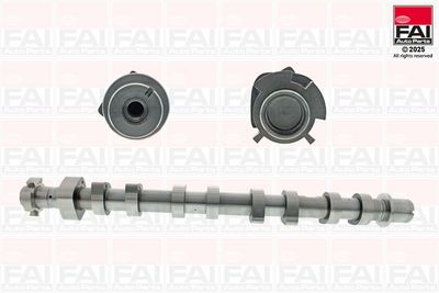 Camshaft FAI AutoParts C540
