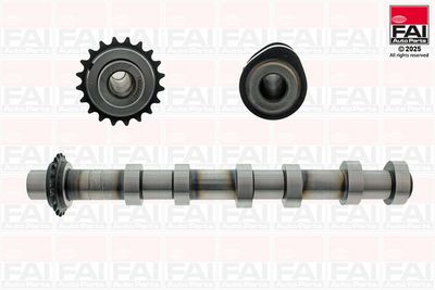 Camshaft FAI AutoParts C590