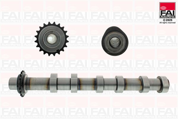 FAI AutoParts C591 Camshaft