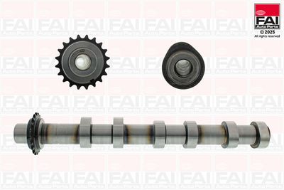 Camshaft FAI AutoParts C591
