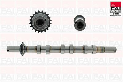 Camshaft FAI AutoParts C592