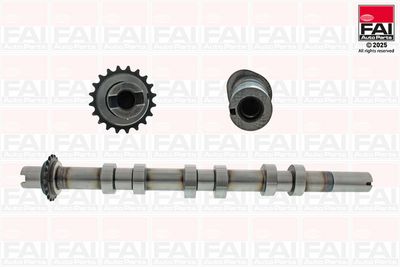 Camshaft FAI AutoParts C593