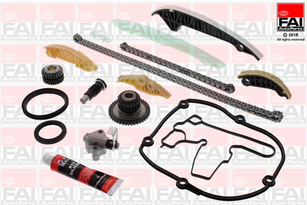FAI AutoParts TCK306 Timing Chain Kit