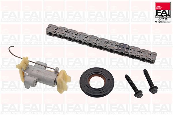 FAI AutoParts TCK487 Timing Chain Kit