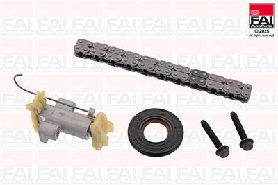 Timing Chain Kit FAI AutoParts TCK487