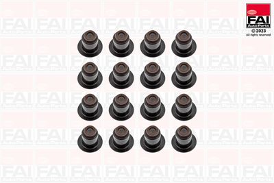 Seal Set, valve stem FAI AutoParts VSK2325