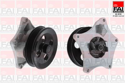 Water Pump, engine cooling FAI AutoParts WP6666