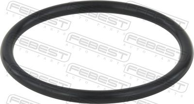 Seal Ring, charge air hose FEBEST 16400-012