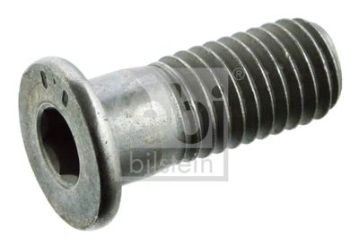 Bolt, brake disc FEBI BILSTEIN 01893