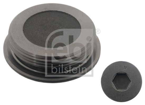 FEBI BILSTEIN 04818 Screw plug, cylinder head