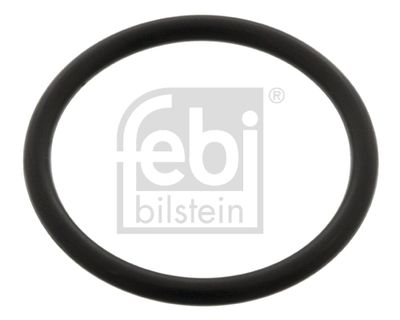 Seal Ring FEBI BILSTEIN 04955
