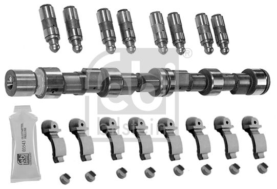 FEBI BILSTEIN 06025 Camshaft Kit