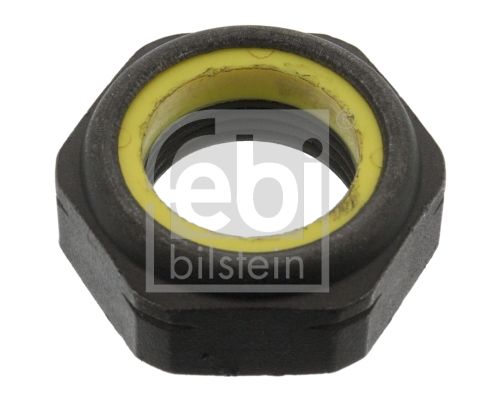 FEBI BILSTEIN 06243 Nut, kingpin