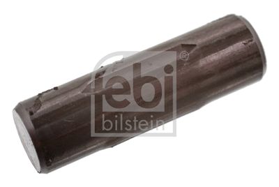 Spring Retaining Pin, brake shoe FEBI BILSTEIN 06424