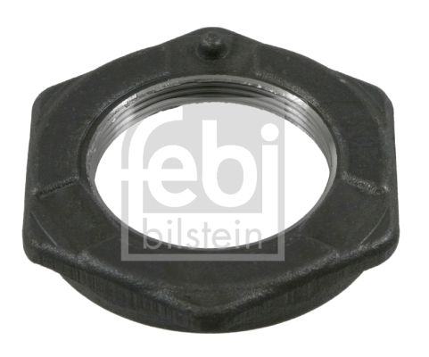 FEBI BILSTEIN 07790 Nut, kingpin