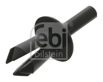 Expanding Rivet FEBI BILSTEIN 100601