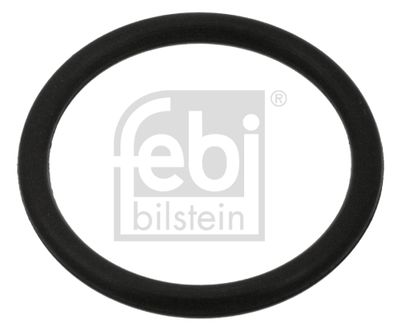Seal Ring, oil drain plug FEBI BILSTEIN 100998