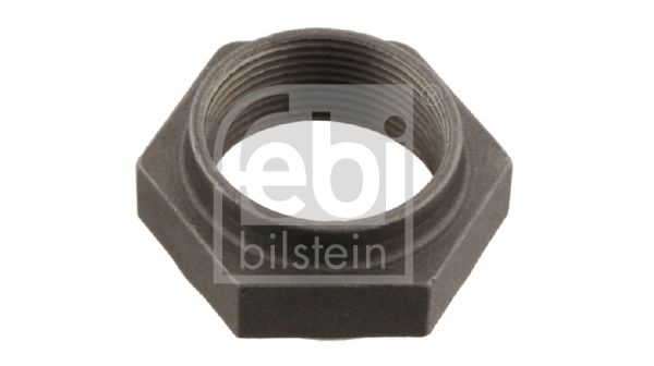 FEBI BILSTEIN 10178 Nut, kingpin