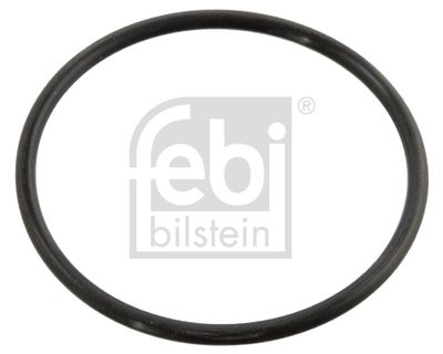 Seal, thermostat FEBI BILSTEIN 10258