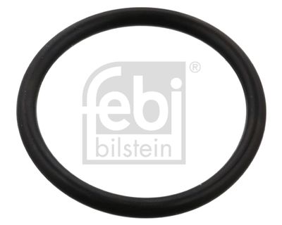 Seal Ring, coolant hose FEBI BILSTEIN 102594