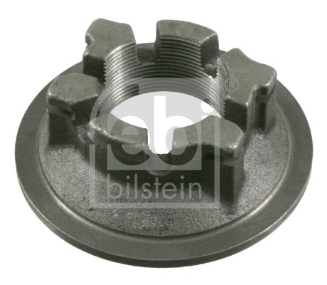 FEBI BILSTEIN 10461 Nut, kingpin