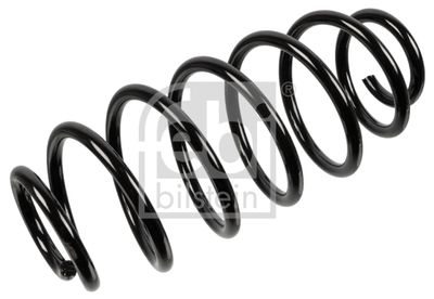 Suspension Spring FEBI BILSTEIN 106276
