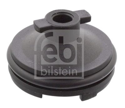 Screw Plug, oil sump FEBI BILSTEIN 106566