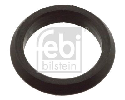 Gasket, servo pump FEBI BILSTEIN 106602