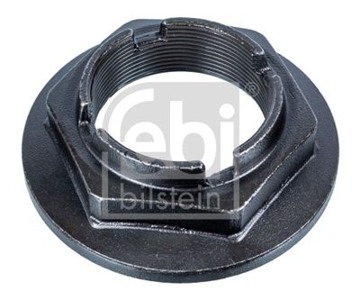 Nut, kingpin FEBI BILSTEIN 107430