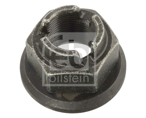 FEBI BILSTEIN 11223 Nut, kingpin