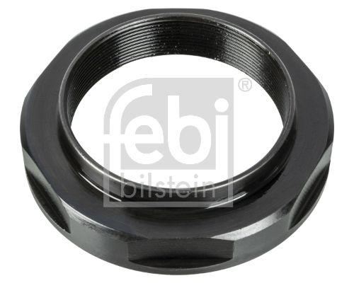 FEBI BILSTEIN 172575 Nut, kingpin