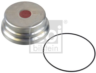 Protection Lid, wheel hub FEBI BILSTEIN 173100
