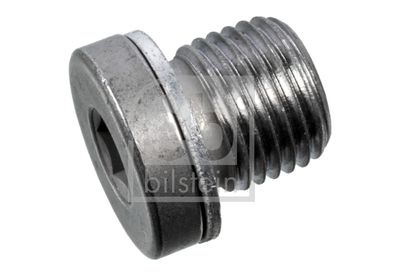 Screw Plug, transmission housing FEBI BILSTEIN 173874