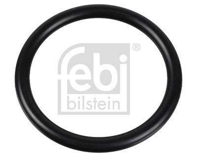 Seal, thermostat FEBI BILSTEIN 174322