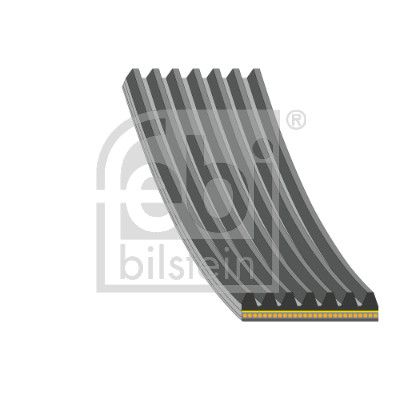 V-Ribbed Belt FEBI BILSTEIN 176365