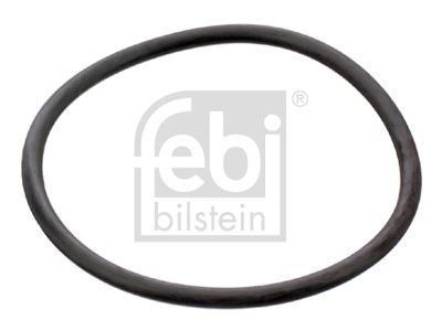 Seal, thermostat FEBI BILSTEIN 17964