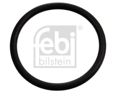 Seal, thermostat FEBI BILSTEIN 17970