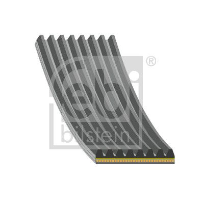 V-Ribbed Belt FEBI BILSTEIN 179891