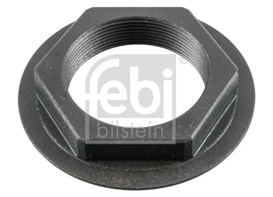 FEBI BILSTEIN 181119 Nut, kingpin