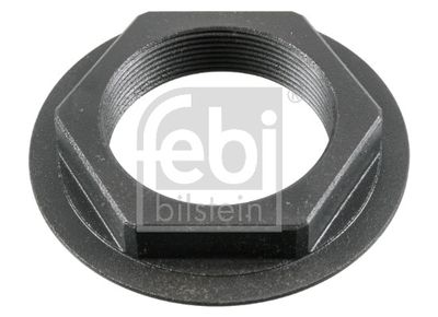 Nut, kingpin FEBI BILSTEIN 181119