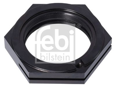 Nut, kingpin FEBI BILSTEIN 182466