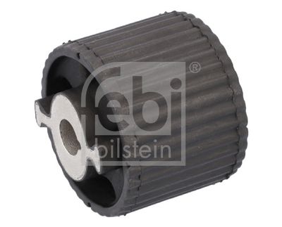 Mounting, differential FEBI BILSTEIN 182581