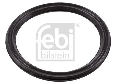 Seal Ring, engine oil level sensor FEBI BILSTEIN 184584