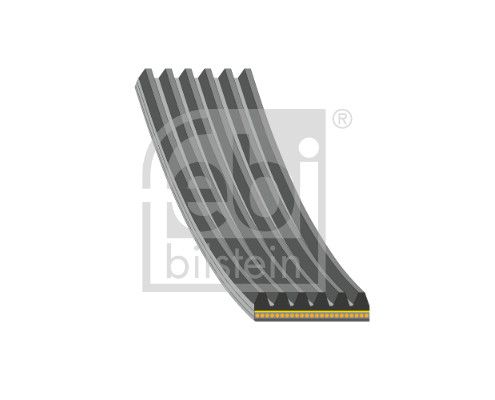 FEBI BILSTEIN 184925 V-Ribbed Belt