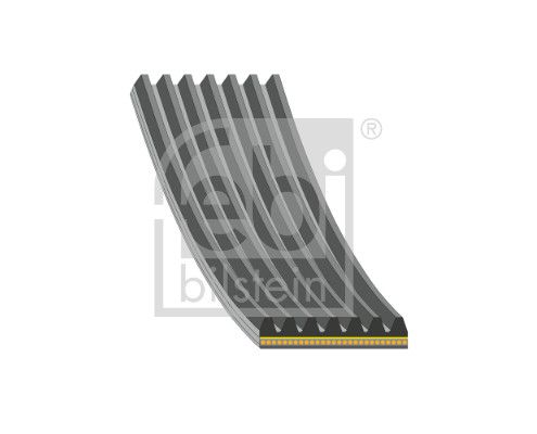 FEBI BILSTEIN 184935 V-Ribbed Belt