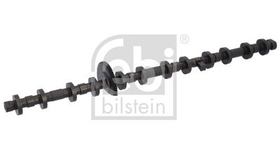 Eccentric shaft, camshaft adjustment FEBI BILSTEIN 184958