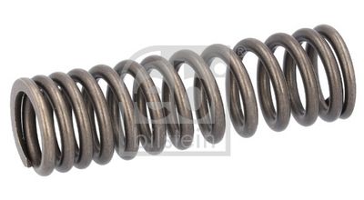 Valve Spring FEBI BILSTEIN 187739