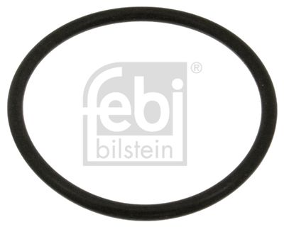 Gasket, coolant flange FEBI BILSTEIN 18774