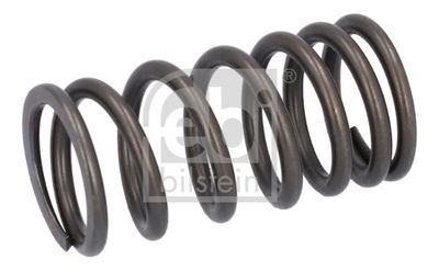 Valve Spring FEBI BILSTEIN 187757