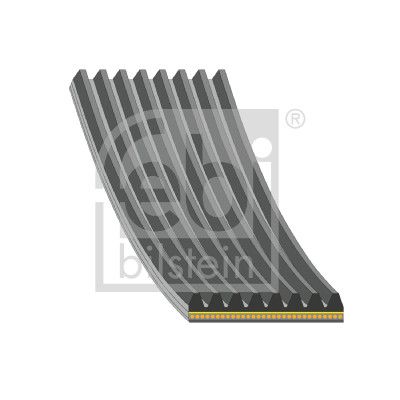 FEBI BILSTEIN 188462 V-ribbed Belt